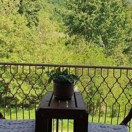 Casa Ciccio Vicino Unipol Arena Centro Bologna *