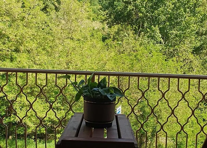 Casa Ciccio Vicino Unipol Arena Centro Bologna *